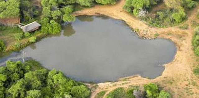 pete s pond on mashatu