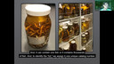 Fishes in Fluid Storage Collection - Q&A Session