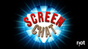 Screen Chat